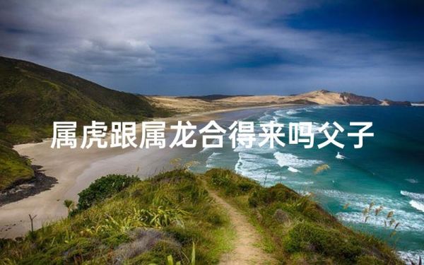 父子属相龙虎相克吗_如何化解龙虎相冲