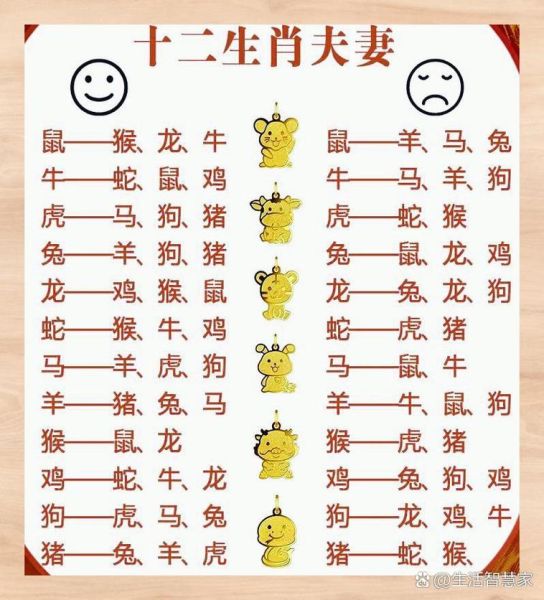 属龙和属猪的婚姻相配吗_龙猪配对优缺点