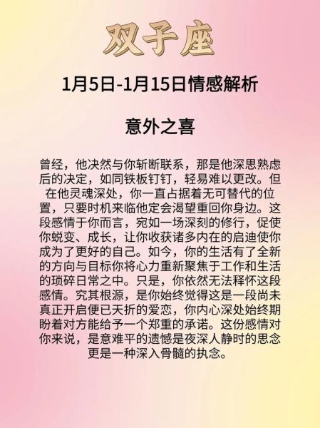 双子座男2017运势_感情事业财运全解析