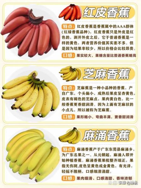 梦到香蕉是什么意思_梦见香蕉预示什么