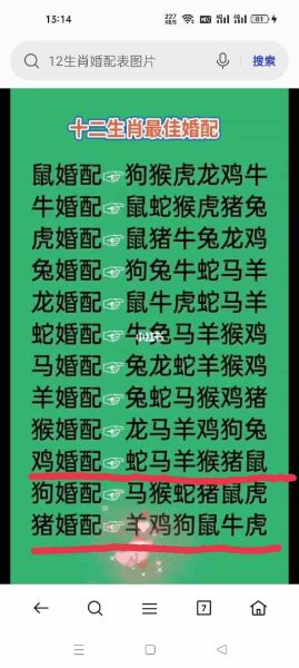 鸡属相和鼠属相最配吗_鸡鼠婚配优缺点