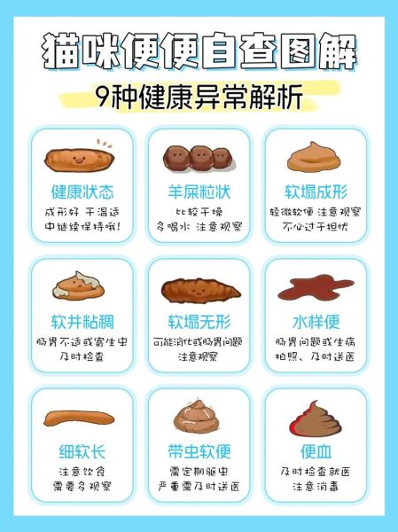 粪便颜色运势_大便形状看吉凶