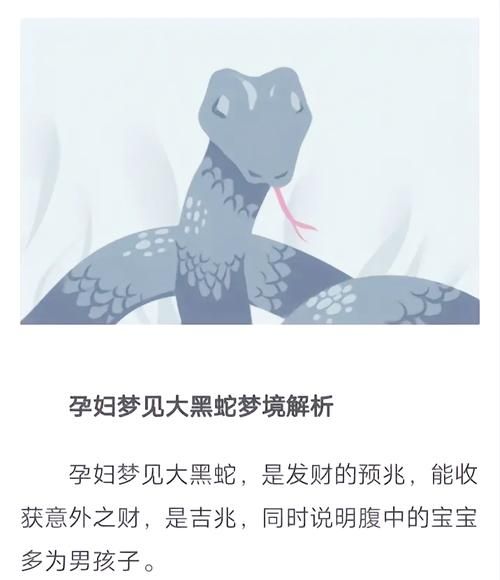 梦到很多黑蛇是什么意思_梦见黑蛇缠身预示什么