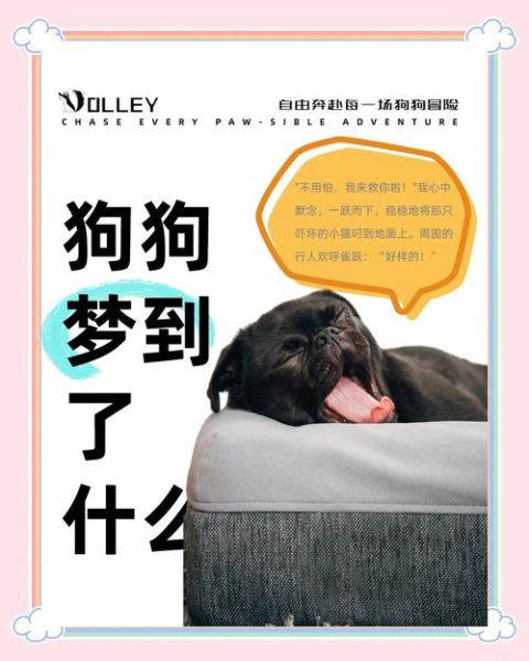 梦到买狗狗_梦见买狗是什么意思