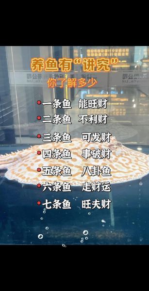 风水鱼养几条最旺财_属相禁忌与鱼缸方位
