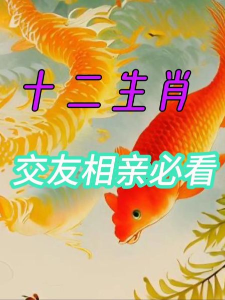 朋友属相相配吗_哪些生肖最合拍