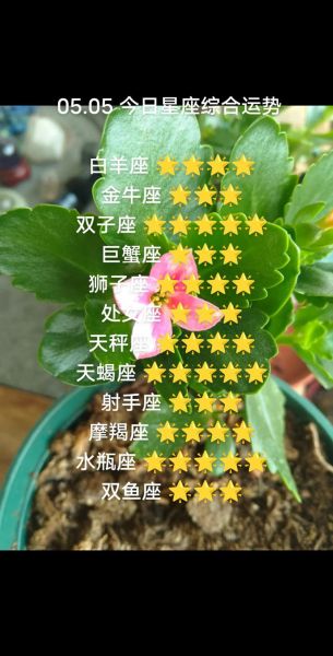 白羊座女生今年运势_如何提升桃花运