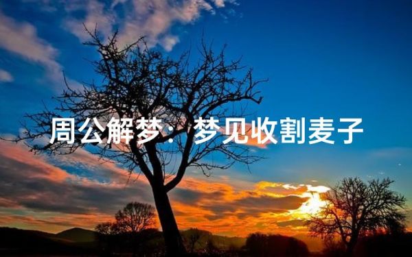 梦到打麦子是什么意思_梦见打麦子预示什么