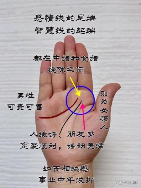 断掌财运_断掌手相真的影响财富吗