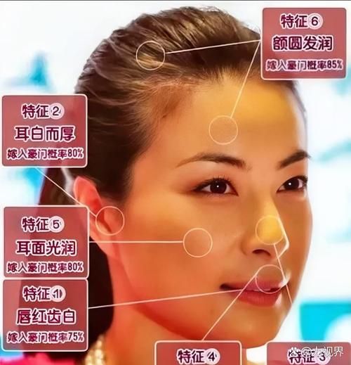 额头高财运好吗_额头饱满真的招财吗