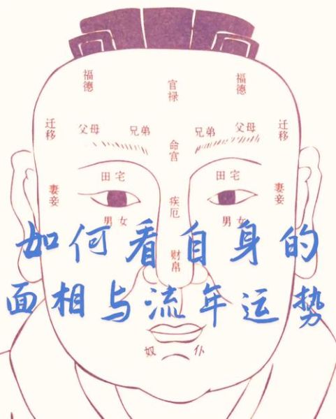 鼻孔大的人财运怎么样_鼻孔大的人容易破财吗