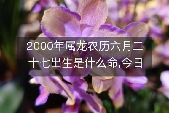 2000年属龙是什么命_2000年龙命五行缺什么