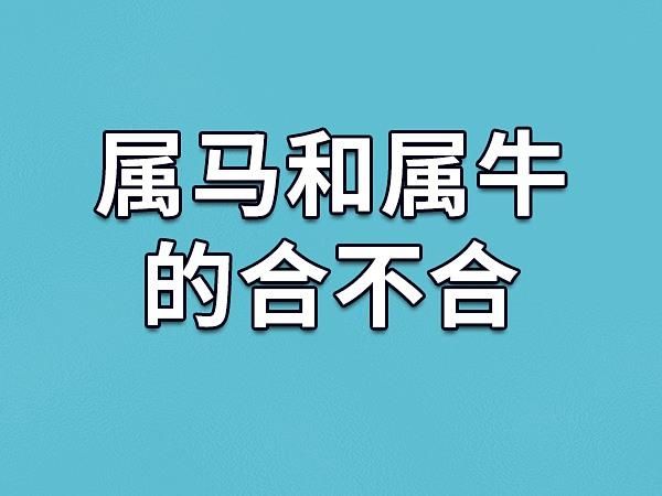 属牛和属马的合不合_属龙和什么属相最配