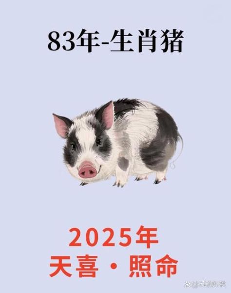 猪人2024财运如何_属猪今年偏财旺吗