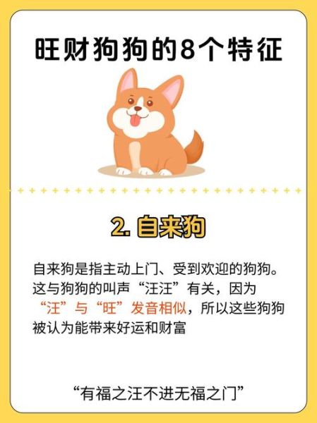 狗年如何添财运_狗年旺财方法有哪些