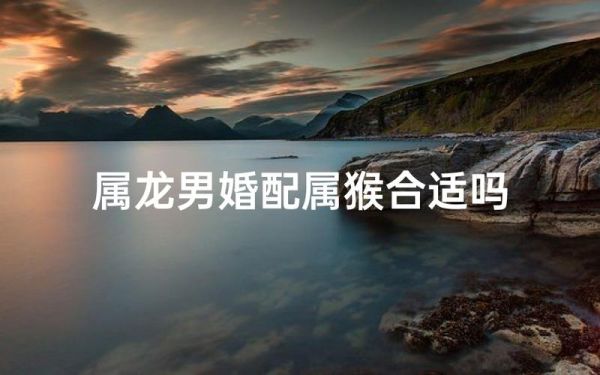 猴子和龙属相合不合_属猴和属龙婚姻配对好吗