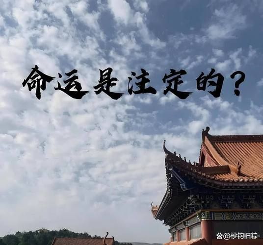 财运已注定是真的吗_如何改变命运轨迹