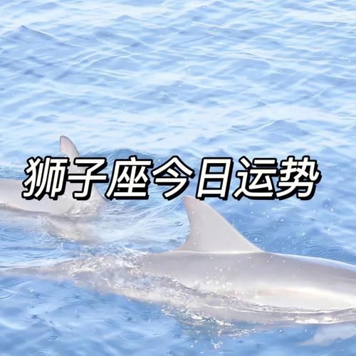 生肖狗狮子座今日运势如何_狮子座属狗今天财运好吗