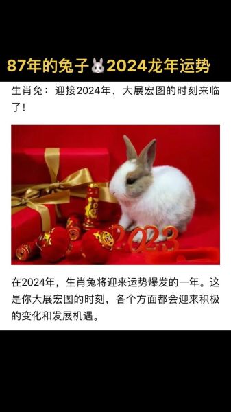 87年兔年财运如何_87年属兔人如何提升财运