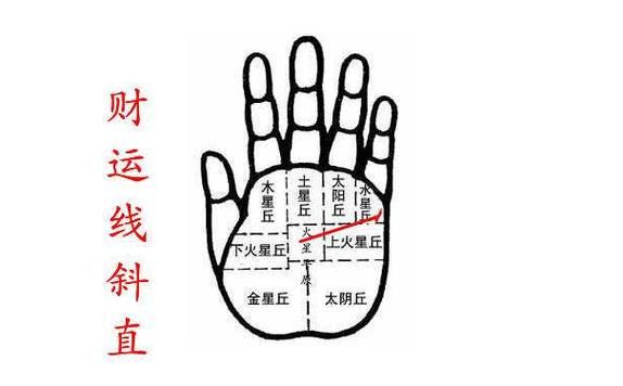 财运线很多代表什么_财运线很多好不好