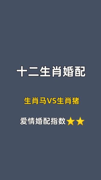 猪和哪个属相合_属猪最佳婚配属相