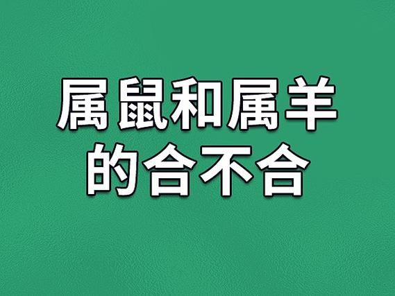 老鼠和羊属相合不合_属鼠属羊婚姻配对好吗