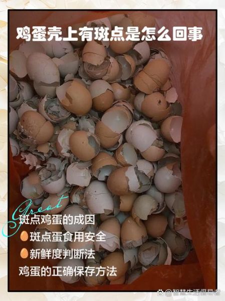梦到鸡蛋壳是什么意思_梦到鸡蛋壳碎了怎么办