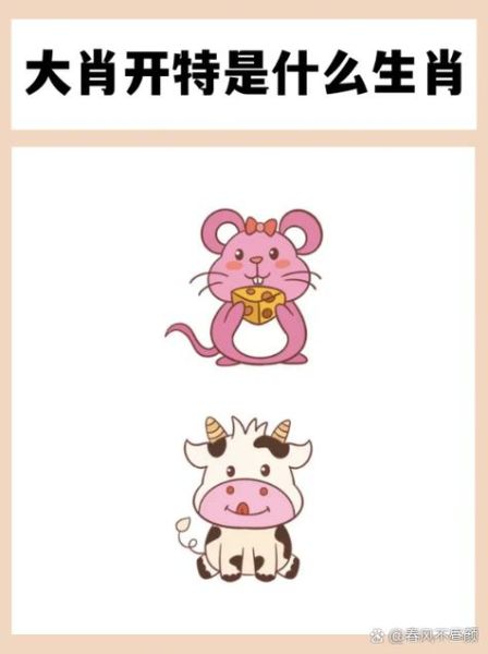 狗不合的属相有哪些_如何化解生肖冲突