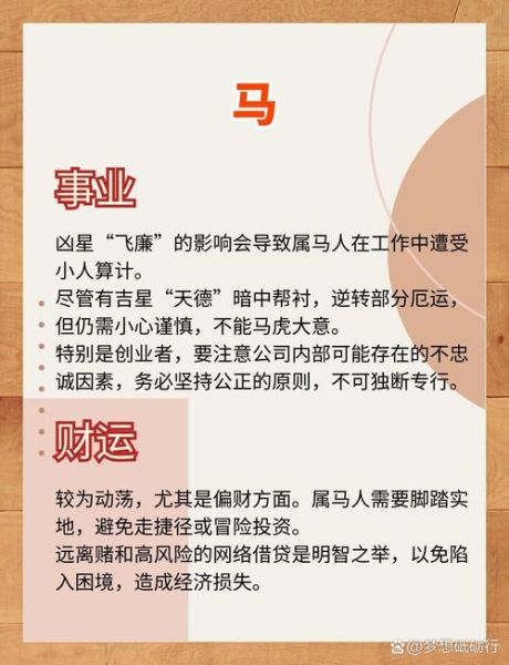 相马的人今年财运如何_2024年运势解析