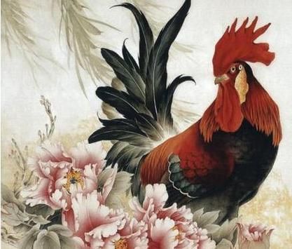 属鸡属猴哪个属相好_哪个属相更旺运