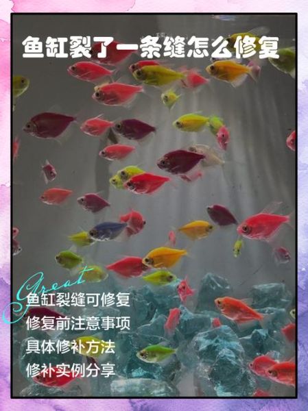 梦到鱼缸碎了_鱼缸碎了预示什么