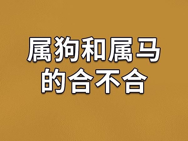 属马和属狗的婚姻合不合_生肖马与狗事业搭档如何