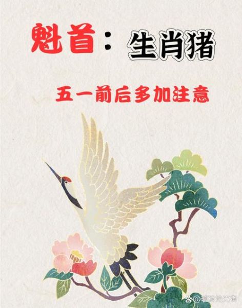 猪冲什么属相_猪冲属相如何化解