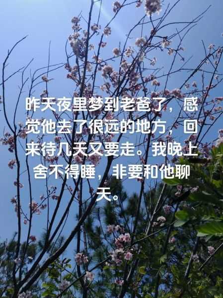 梦到把爸爸杀了_意味着什么