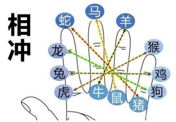 属相算命准吗_如何根据属相改运