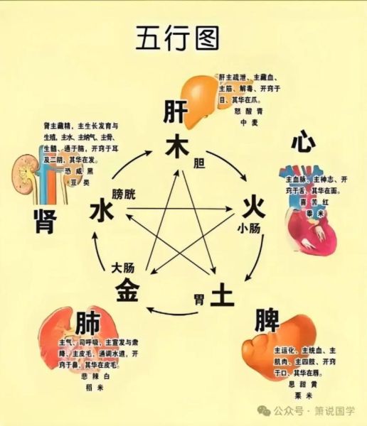 五脏不好会影响运势吗_如何调理五脏提升运势