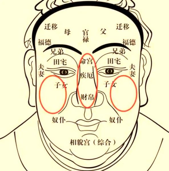 男子财运脸特征有哪些_如何通过面相提升财运
