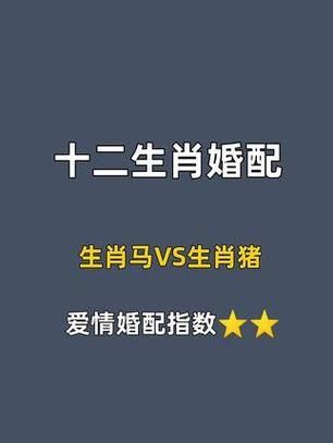 男属猪女属马婚姻如何_属猪男与属马女相配吗