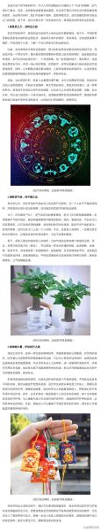 运势低迷念什么经_如何转运最有效