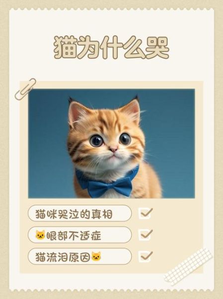 梦到猫在哭是什么意思_猫哭梦境预示什么