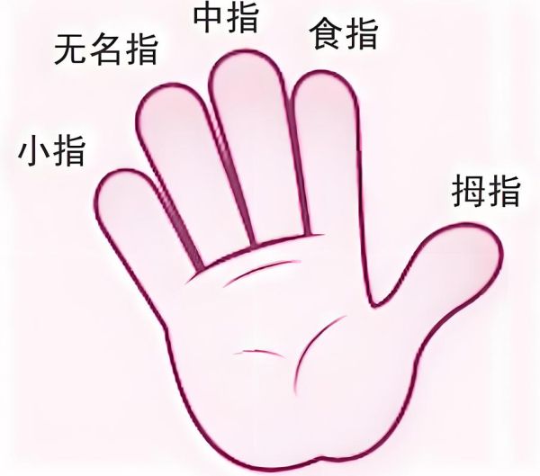 手指长度看财运_无名指比食指长代表什么