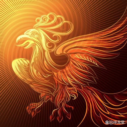 凤凰的属相是什么_凤凰属什么生肖