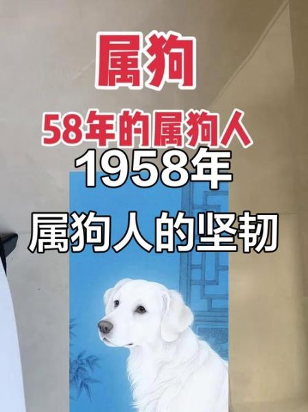 1958年5月属狗还是属猪_1958年5月出生属什么生肖