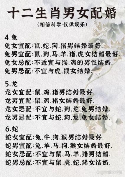 再婚不论属相_再婚看属相吗