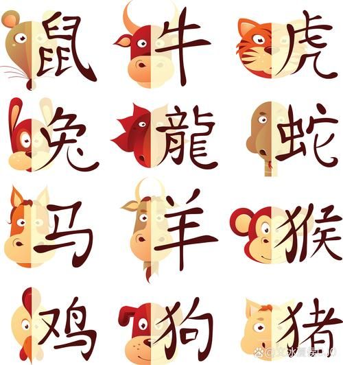 就字几笔_就字属于什么生肖