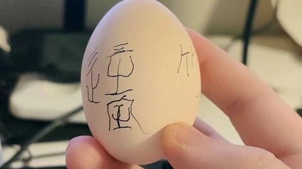 梦到鸡蛋是什么意思_梦见鸡蛋预示什么