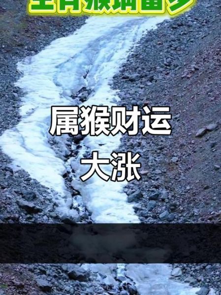1992年12月财运如何_属猴人年底财富走势