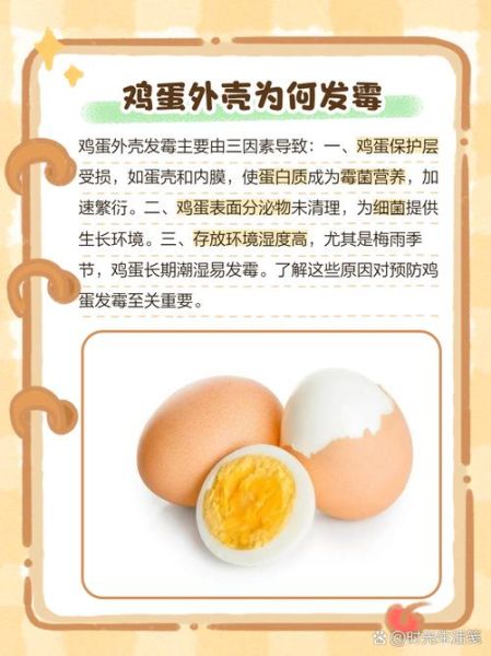 梦到鸡蛋打开变质了_什么预兆