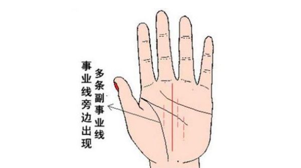 手相财运线怎么看_事业线分叉代表什么