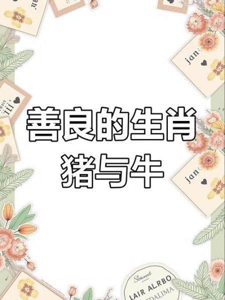 牛和猪财运哪个旺_牛猪合财吗